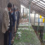 بازدید شهردار و اعضای شورای شهر نیشابور از مراحل ساخت المان های نوروزی ، سایت تولیدات گل و گیاه و پروژه های عمرانی