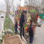 گلباران بهاری به دست باغبانان شهرداری نیشابور