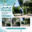 محلول‌پاشی درختان پارک شقایق توسط نیروهای پیمانکار منطقه گردشگری سازمان سیما،