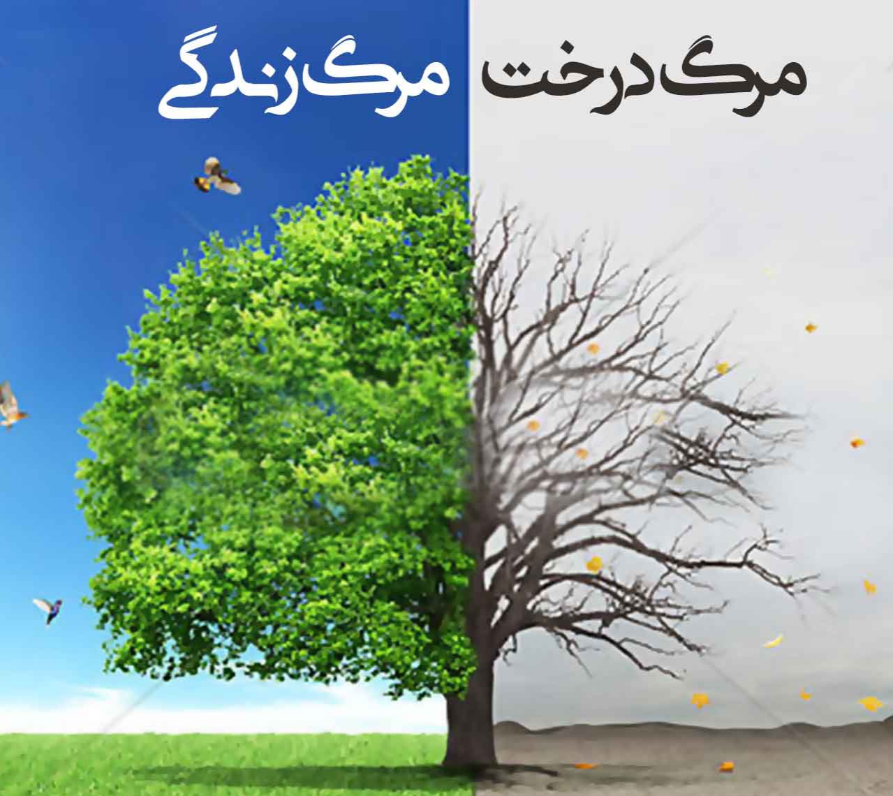 عزم شهرداری نیشابور بر رسیدگی و نجات درختان شهر