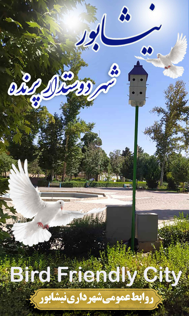 ضوابط و دستورالعمل شهر دوستدار پرنده تدوین می شود