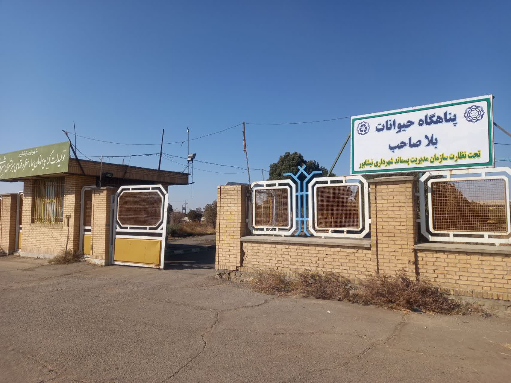 اجرای جمع آوری و زنده گیری اصولی سگهای بلاصاحب از سطح شهر و انتقال آنها به پناه گاه مربوطه به گزارش روابط عمومی سازمان مدیریت پسماند