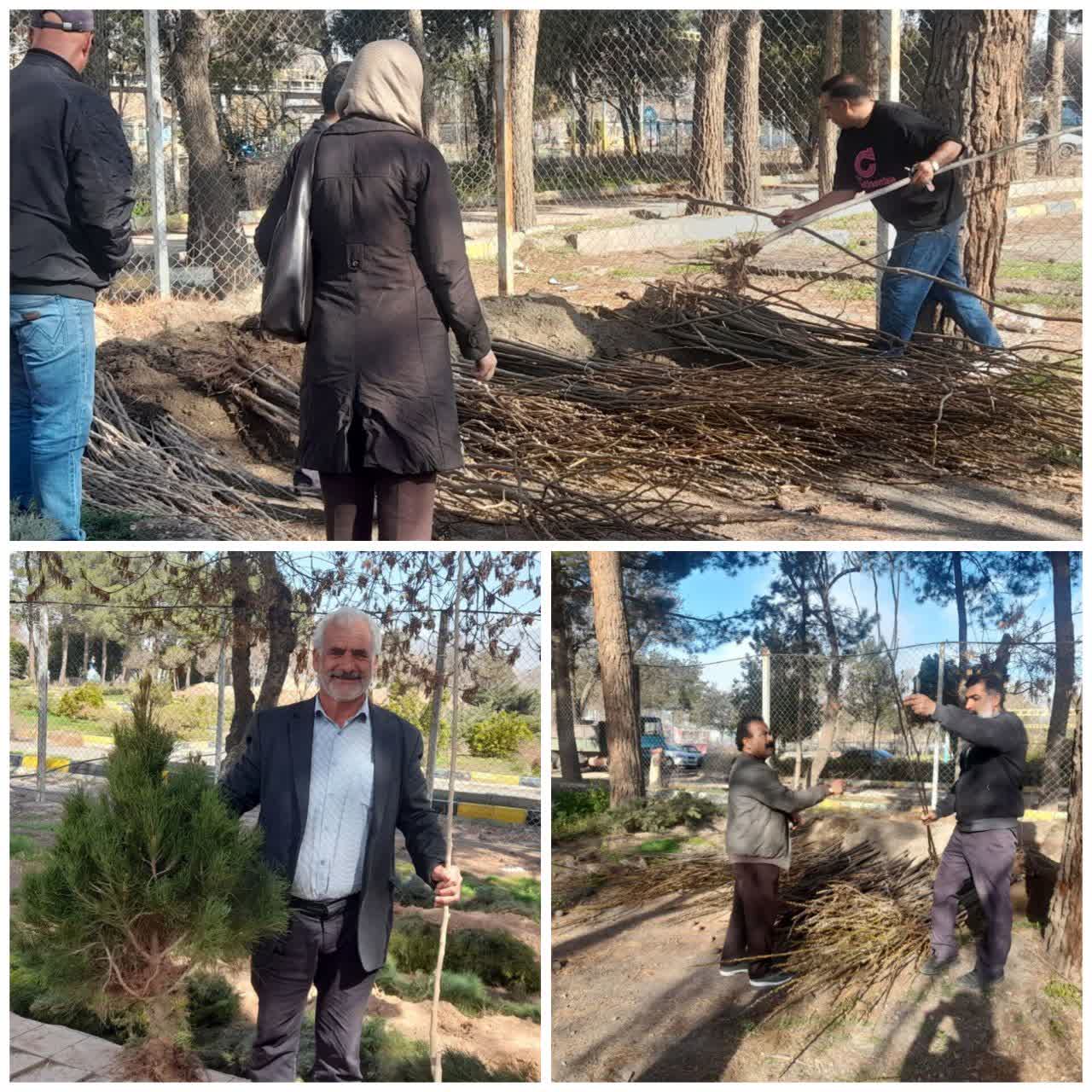 توزیع نهال رایگان به مناسبت روز درختکاری   به مناسبت هفته منابع طبیعی سازمان سیما منظر و فضای سبز ، تعداد هزار اصله نهال رایگان از نوع درخت توت، زیتون و کاج کله قندی در محل سازمان بین مردم توزیع کرد.   این طرح که در راستای توسعه فضای سبز شهری، ترویج فرهنگ درختکاری، کاهش آلودگی هوا و کمک به حفظ محیط زیست  صورت گرفت، یکی از مؤثرترین اقدامات برای افزایش سرسبزی شهری و ارتقای کیفیت زندگی شهروندان است.