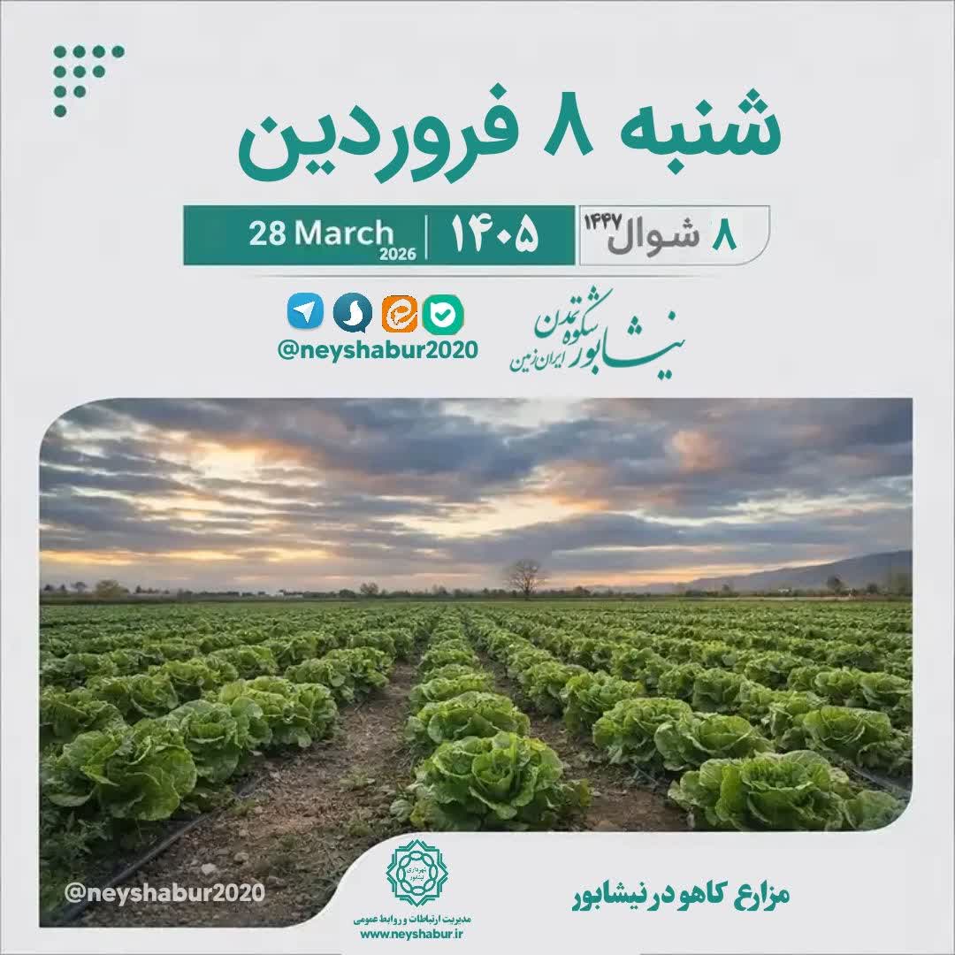 🗓 تقویم امروز شنبه ۸ فروردین ۱۴۰۵  #مزارع_کاهو_در_نیشابور