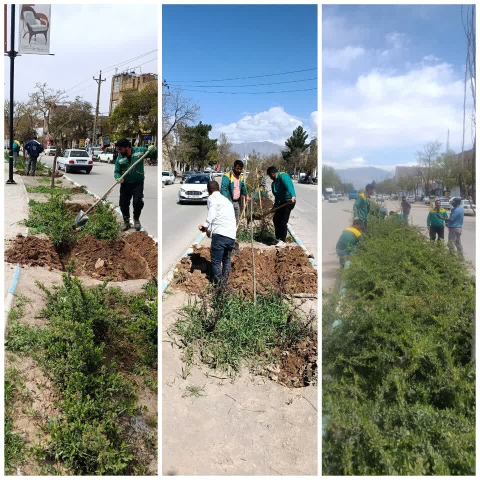 💠 عملیات واکاری بولوار شهید بهشتی توسط نیروهای منطقه دو سازمان سیما، منظر و فضای سبز انجام شد.  به گزارش روابط عمومی سازمان سیما، منظر و فضای سبز شهرداری نیشابور در این اقدام، ۲۰۰۰ بوته پرچین پیرکانتا و ۱۲۰ بوته پامپاس در حاشیه این بولوار کاشته شد و همزمان پاکسازی و حذف علف‌های هرز نیز صورت گرفت.   این طرح با هدف بهبود کیفیت بصری فضاهای شهری و ارتقای منظر شهری اجرا شده است.  ▫️