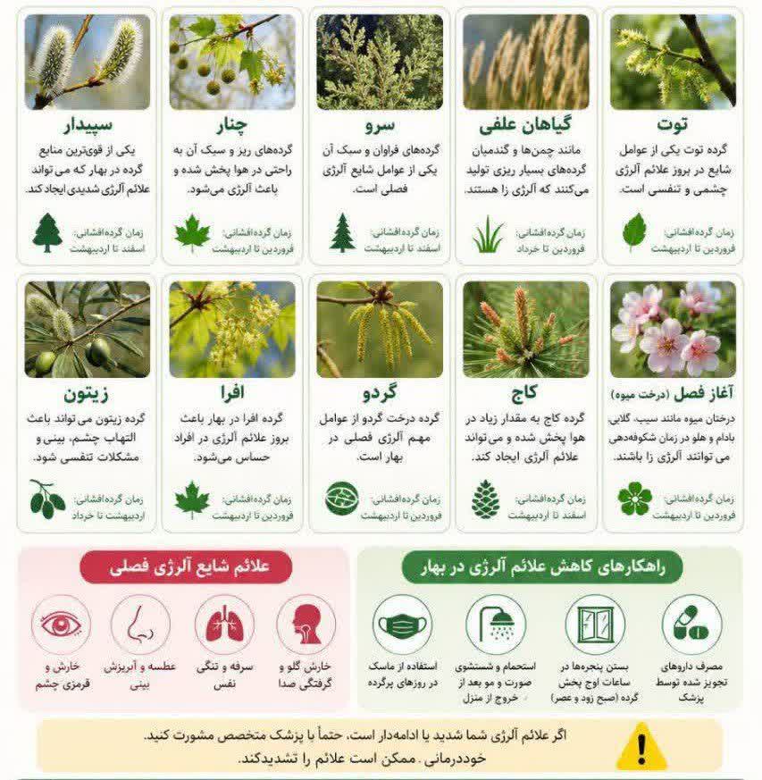 چه گیاهانی در فصل بهار آلرژی زا هستند؟